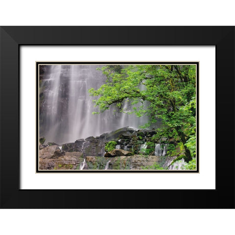 Silver Falls-Golden and Silver Falls State Natural Area-Oregon Black Modern Wood Framed Art Print with Double Matting by Jones, Adam