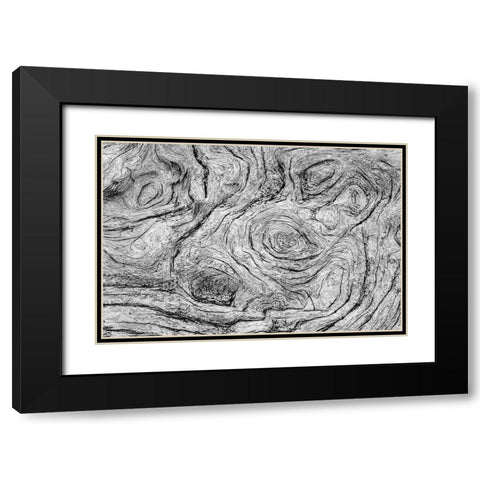 Geometric pattern in eroded driftwood-Bandon Beach-Oregon Black Modern Wood Framed Art Print with Double Matting by Jones, Adam