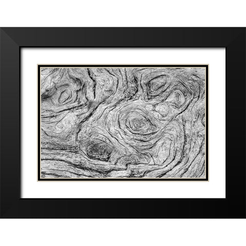 Geometric pattern in eroded driftwood-Bandon Beach-Oregon Black Modern Wood Framed Art Print with Double Matting by Jones, Adam