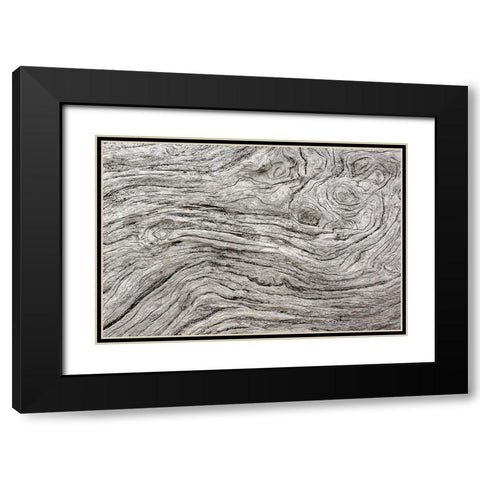 Geometric pattern in eroded driftwood-Bandon Beach-Oregon Black Modern Wood Framed Art Print with Double Matting by Jones, Adam
