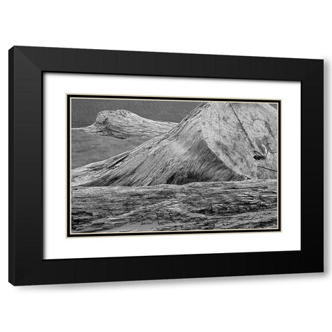 Eroded driftwood on beach-Bandon Beach-Oregon Black Modern Wood Framed Art Print with Double Matting by Jones, Adam
