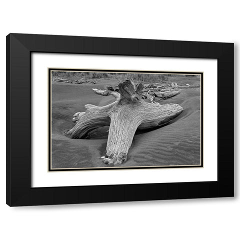 Geometric pattern in eroded driftwood-Bandon Beach-Oregon Black Modern Wood Framed Art Print with Double Matting by Jones, Adam