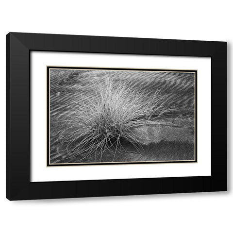 Grass pattern-Bandon-Oregon Black Modern Wood Framed Art Print with Double Matting by Jones, Adam
