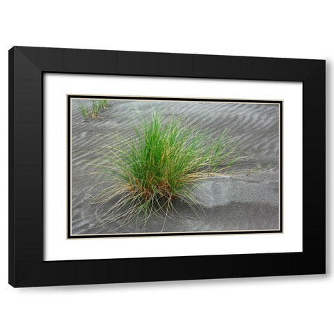 Grass pattern-Bandon-Oregon Black Modern Wood Framed Art Print with Double Matting by Jones, Adam