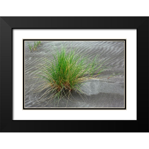 Grass pattern-Bandon-Oregon Black Modern Wood Framed Art Print with Double Matting by Jones, Adam