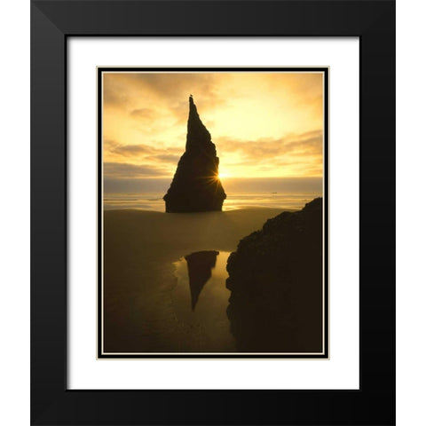 OR, Bandon Beach, Sunset silhouettes seabird Black Modern Wood Framed Art Print with Double Matting by Terrill, Steve