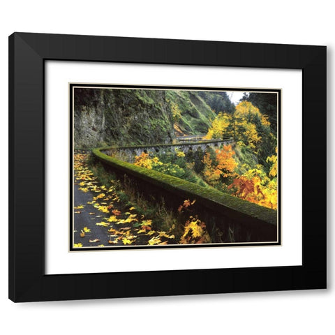 OR, Columbia Gorge, Columbia River Highway Black Modern Wood Framed Art Print with Double Matting by Terrill, Steve
