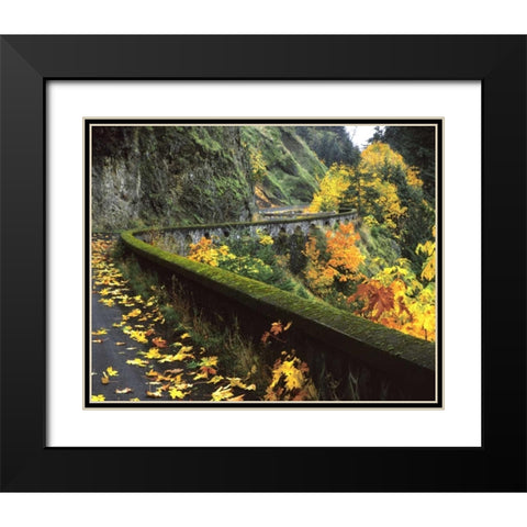 OR, Columbia Gorge, Columbia River Highway Black Modern Wood Framed Art Print with Double Matting by Terrill, Steve
