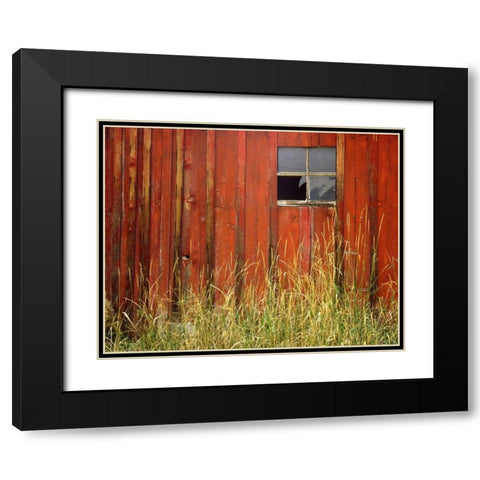 OR, Joseph, Grasses contrast with broken window Black Modern Wood Framed Art Print with Double Matting by Terrill, Steve