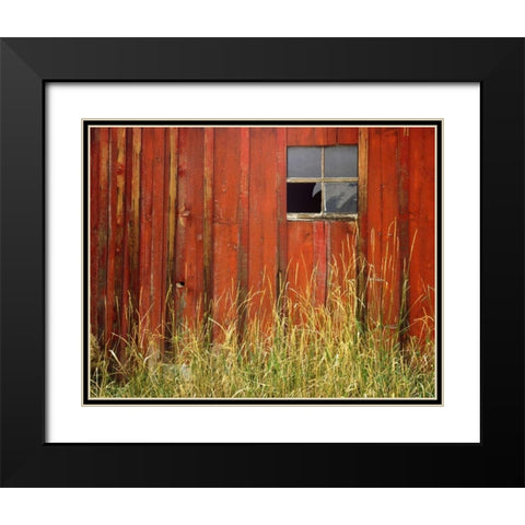 OR, Joseph, Grasses contrast with broken window Black Modern Wood Framed Art Print with Double Matting by Terrill, Steve