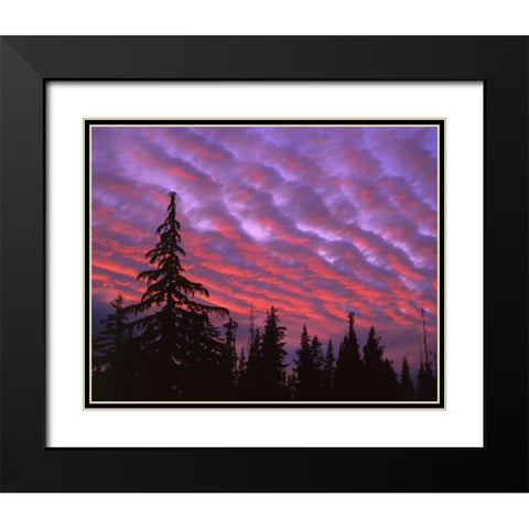 OR, Three Sisters, sunset clouds over forest Black Modern Wood Framed Art Print with Double Matting by Terrill, Steve