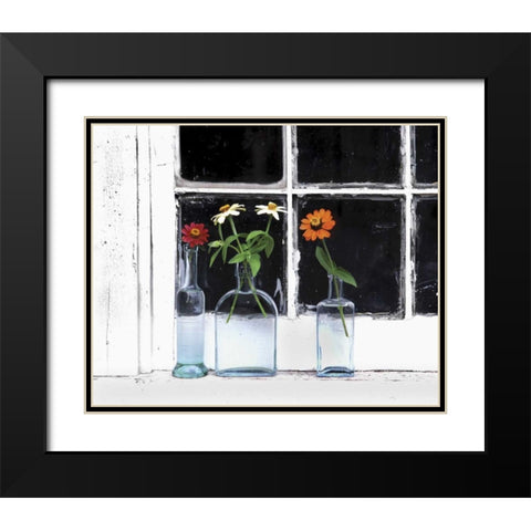 USA, Oregon, Zinnias in bottles on windowsill Black Modern Wood Framed Art Print with Double Matting by Terrill, Steve