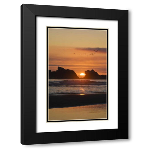 Oregon Birds fly over sunset between sea stacks Black Modern Wood Framed Art Print with Double Matting by Rotenberg, Nancy