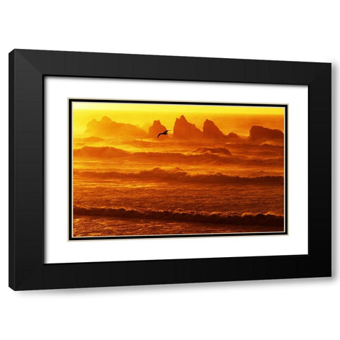 Oregon, Bandon Sunset over waves and sea stacks Black Modern Wood Framed Art Print with Double Matting by Welling, Dave