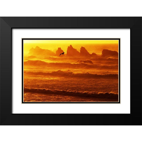 Oregon, Bandon Sunset over waves and sea stacks Black Modern Wood Framed Art Print with Double Matting by Welling, Dave