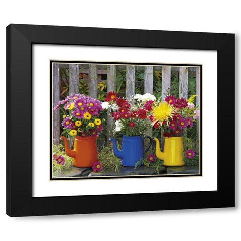 OR, Portland Antique coffeepots with flowers Black Modern Wood Framed Art Print with Double Matting by Terrill, Steve