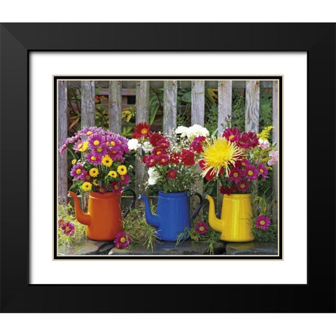 OR, Portland Antique coffeepots with flowers Black Modern Wood Framed Art Print with Double Matting by Terrill, Steve