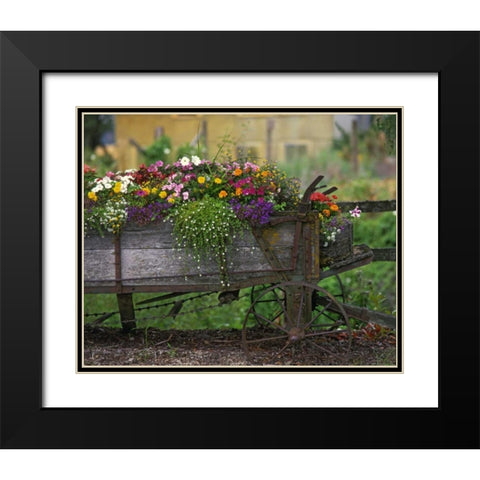 OR, Portland Farm spreader filled with flowers Black Modern Wood Framed Art Print with Double Matting by Terrill, Steve