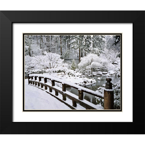 Oregon, Portland Winter snowfall in a Garden Black Modern Wood Framed Art Print with Double Matting by Terrill, Steve