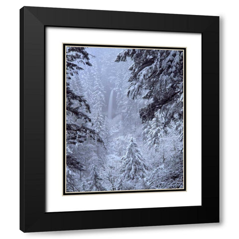 Oregon, Silver Falls North Falls in winter snow Black Modern Wood Framed Art Print with Double Matting by Terrill, Steve