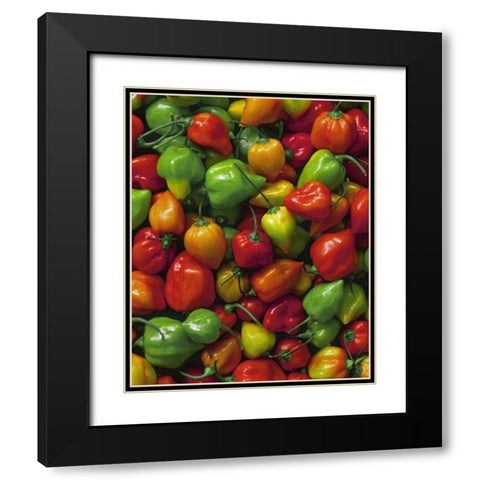 OR, Willamette Valley Fresh habanero peppers Black Modern Wood Framed Art Print with Double Matting by Terrill, Steve