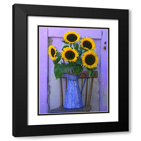 OR, Willamette Valley Fresh cut sunflowers Black Modern Wood Framed Art Print with Double Matting by Terrill, Steve