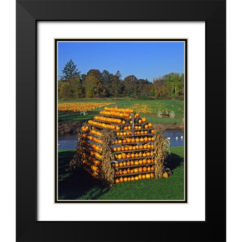 OR, Willamette Valley House made of pumpkins Black Modern Wood Framed Art Print with Double Matting by Terrill, Steve