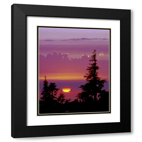 Oregon, Mt Hood Pine trees silhouetted by sunset Black Modern Wood Framed Art Print with Double Matting by Kelley, David