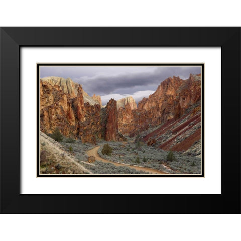 USA, Oregon View of Leslie Gulch Black Modern Wood Framed Art Print with Double Matting by Paulson, Don