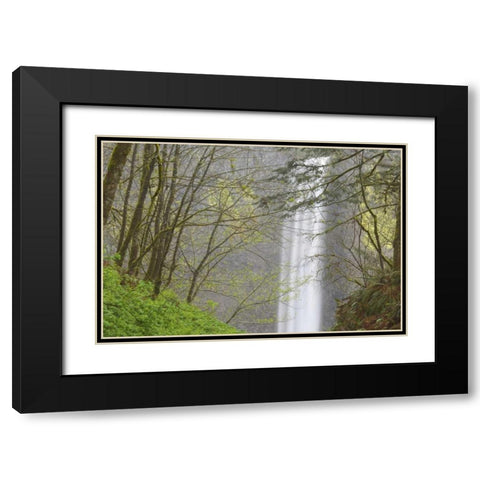 OR, Columbia River Gorge View of Latourell Falls Black Modern Wood Framed Art Print with Double Matting by Paulson, Don