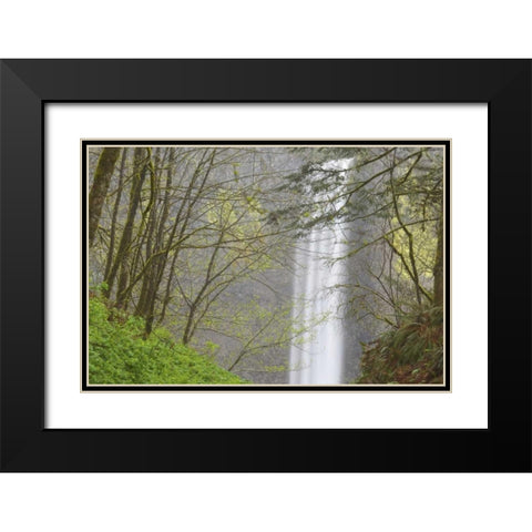 OR, Columbia River Gorge View of Latourell Falls Black Modern Wood Framed Art Print with Double Matting by Paulson, Don