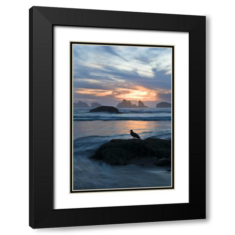 OR, Bandon Beach Seagull silhouette at sunset Black Modern Wood Framed Art Print with Double Matting by Rotenberg, Nancy