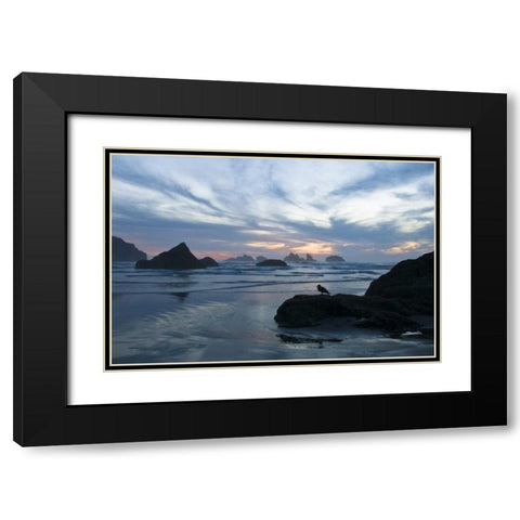 OR, Bandon Beach Seagull silhouette at sunset Black Modern Wood Framed Art Print with Double Matting by Rotenberg, Nancy