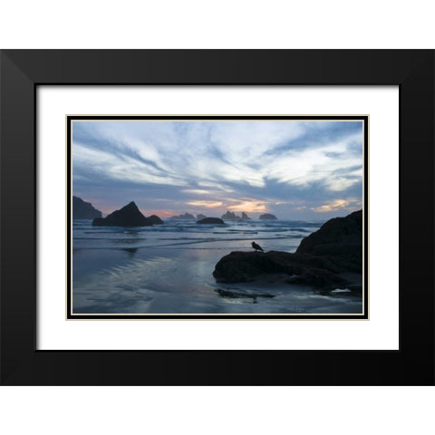OR, Bandon Beach Seagull silhouette at sunset Black Modern Wood Framed Art Print with Double Matting by Rotenberg, Nancy