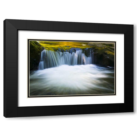 Oregon Reflections in waterfall on Sweet Creek Black Modern Wood Framed Art Print with Double Matting by Rotenberg, Nancy