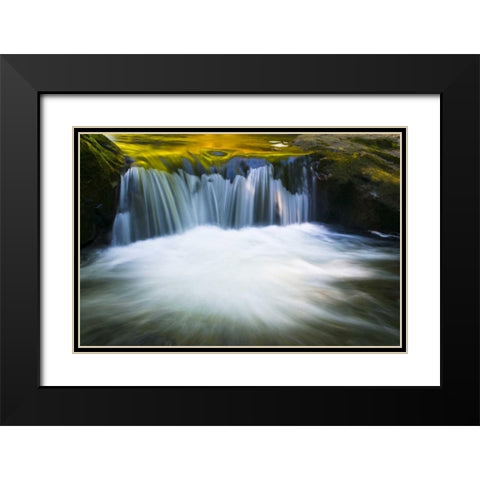 Oregon Reflections in waterfall on Sweet Creek Black Modern Wood Framed Art Print with Double Matting by Rotenberg, Nancy