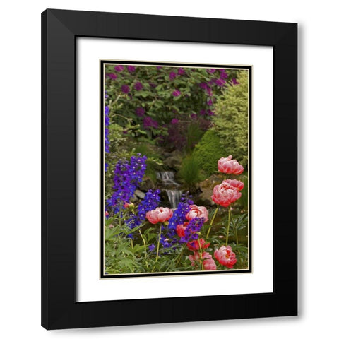 OR,Salem Flowers grow near brook Black Modern Wood Framed Art Print with Double Matting by Paulson, Don