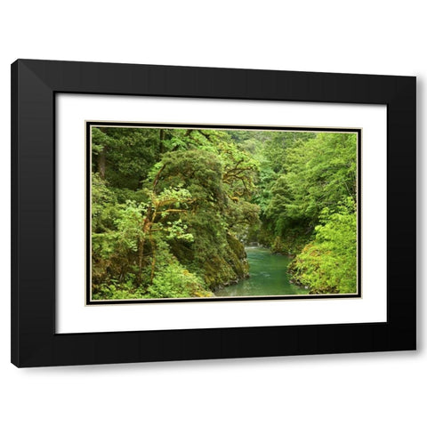 USA, Oregon, Elk River Black Modern Wood Framed Art Print with Double Matting by Paulson, Don