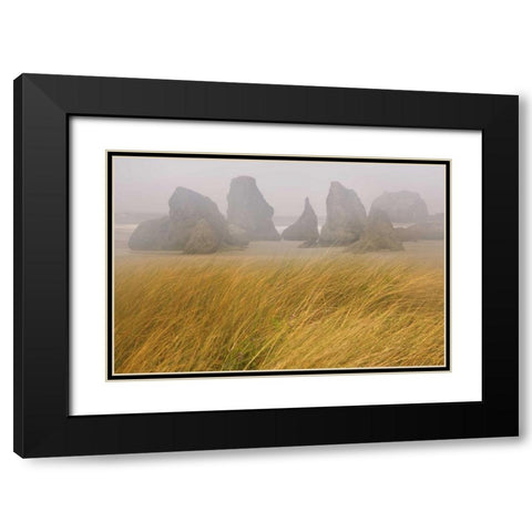OR, Bandon Dune grass and seastacks in fog Black Modern Wood Framed Art Print with Double Matting by Paulson, Don
