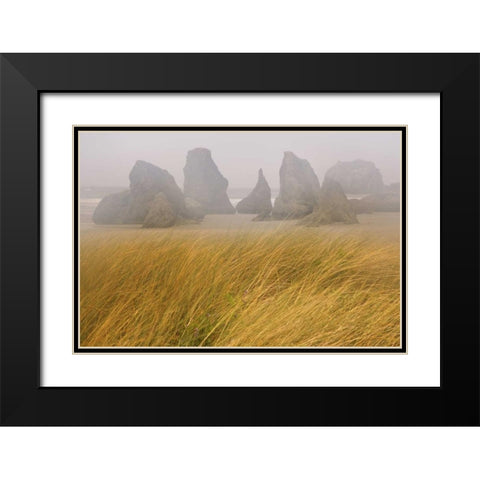 OR, Bandon Dune grass and seastacks in fog Black Modern Wood Framed Art Print with Double Matting by Paulson, Don