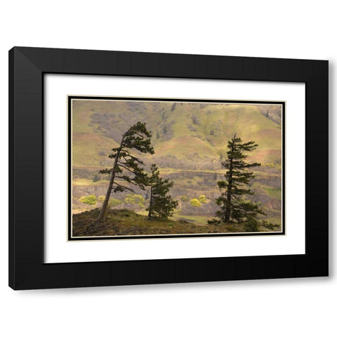OR, Columbia Gorge Overlook of hills and valley Black Modern Wood Framed Art Print with Double Matting by Paulson, Don