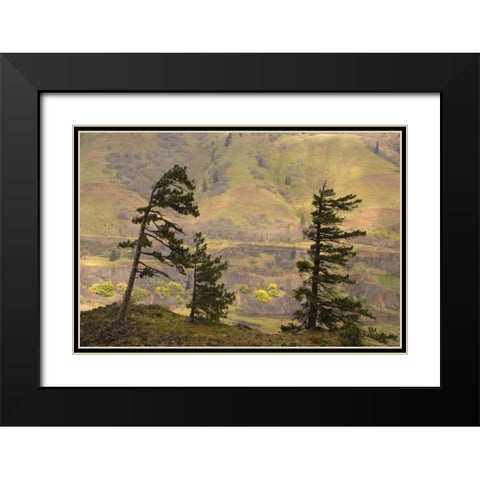 OR, Columbia Gorge Overlook of hills and valley Black Modern Wood Framed Art Print with Double Matting by Paulson, Don