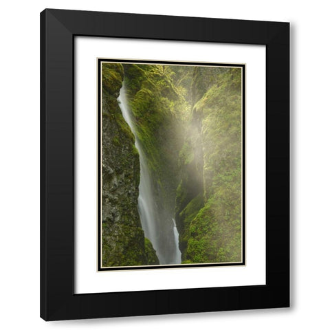 OR, Columbia Gorge Overlook of Elowah Falls Black Modern Wood Framed Art Print with Double Matting by Paulson, Don