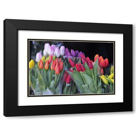 OR, Portland Bouquets of spring tulips for sale Black Modern Wood Framed Art Print with Double Matting by Terrill, Steve