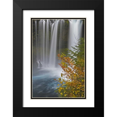 OR, Willamette NF Koosah Falls Black Modern Wood Framed Art Print with Double Matting by Paulson, Don