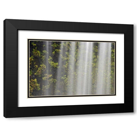OR, Willamette NF Koosah Falls and ferns Black Modern Wood Framed Art Print with Double Matting by Paulson, Don
