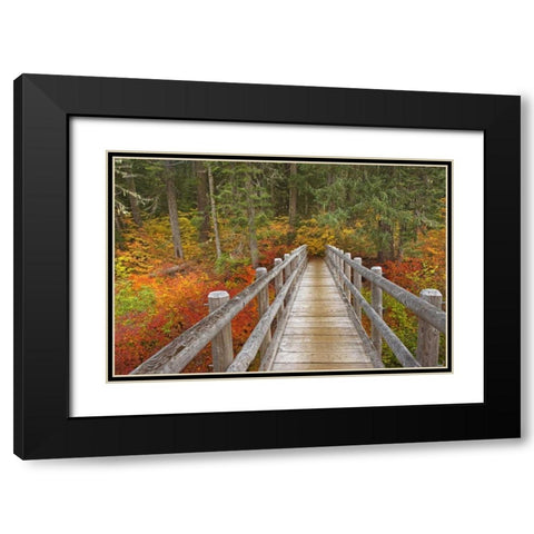 OR, Willamette  Bridge on McKenzie River Trail Black Modern Wood Framed Art Print with Double Matting by Paulson, Don