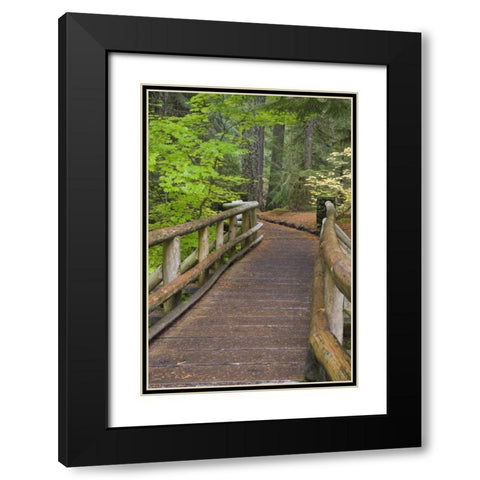 OR, Willamette NF Wooden foot bridge Black Modern Wood Framed Art Print with Double Matting by Paulson, Don
