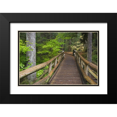 OR, Willamette NF Wooden foot bridge Black Modern Wood Framed Art Print with Double Matting by Paulson, Don