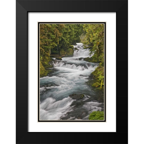 Oregon, Willamette NF McKenzie River rapids Black Modern Wood Framed Art Print with Double Matting by Paulson, Don